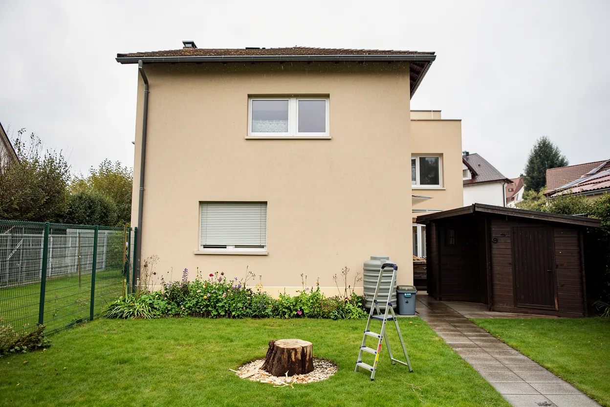 Jardin dégagé après démontage du conifère à Illkirch-Graffenstaden