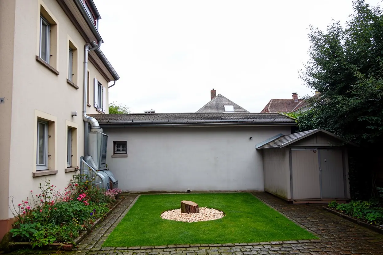 Cour sécurisée après démontage contrôlé de l’érable à Strasbourg