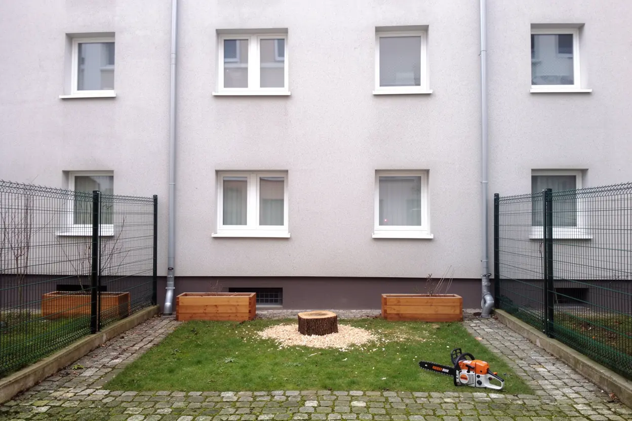 Cour sécurisée après abattage du conifère à Strasbourg