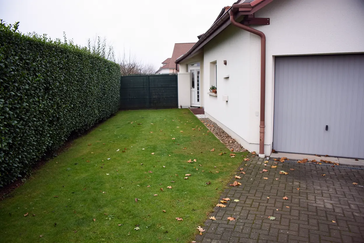 Pelouse dégagée après évacuation à Schiltigheim