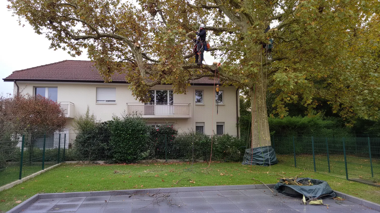 Élagueur professionnel à Illkirch-Graffenstaden et alentours